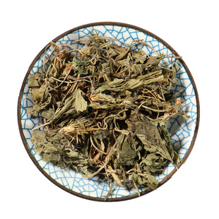 紫花地丁中药材紫地丁花中药箭头草 犁头草 柴花地丁草药的功效