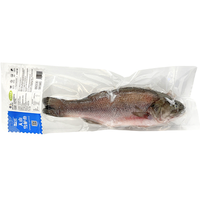 昆仑纪新疆天山无抗雪鲈鱼安心鱼
