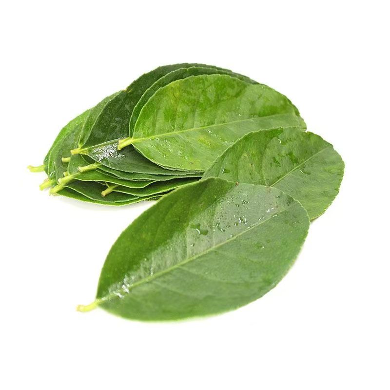 新鲜广东香水柠檬叶冬阴功汤料