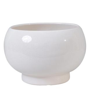 大口径花盆陶瓷家用客厅蝴蝶兰冬青专用大号兰花茉莉虎皮兰花盆