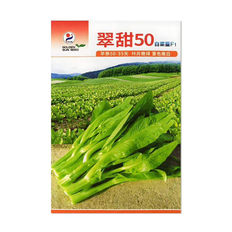 金阳红翠甜50白菜苔种子