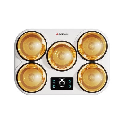 志高壁挂式灯暖浴霸灯泡取暖器挂壁墙式卫生间浴室风暖免打孔