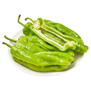 新鲜绿色辣椒大个头香辣可食用蔬菜现摘现发皱皮青椒