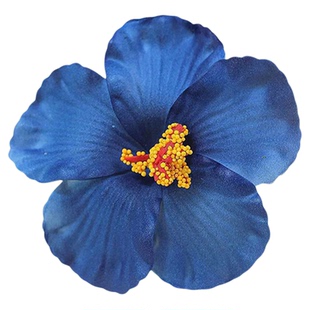 迪迪不畏同款扶桑花仿真花朵发夹女海边度假风头花氛围感拍照发饰