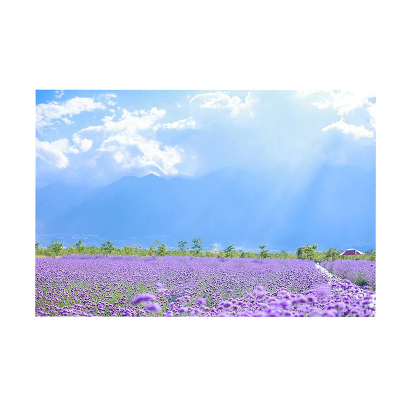 洗照片放大尺寸婚纱照16/24/48寸70寸冲印高清冲洗相片打印海报