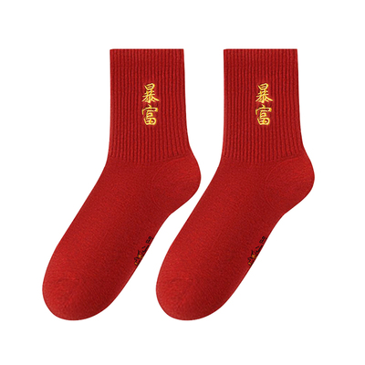 蛇年2025发财暴富本命年红袜子