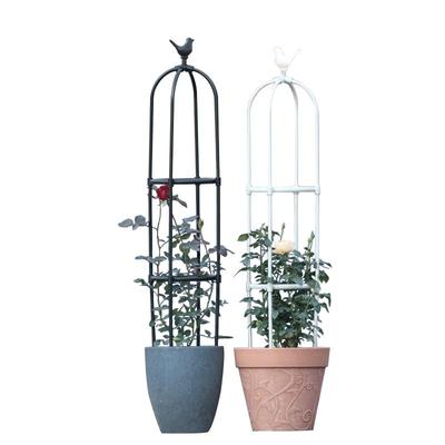 小鸟头园艺爬藤架加粗加厚钢管包塑花支架外花卉攀爬架室外花架