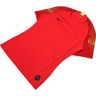 NIKE耐克2019中超球员版短袖长袖守门员服服足球组队服球衣AO8479