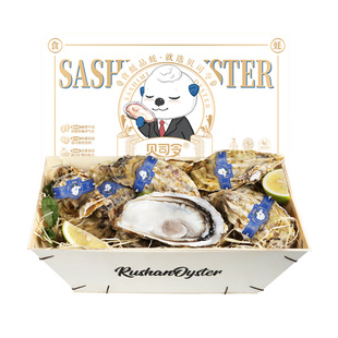 贝司令刺身生蚝特大号5XL＆6XL乳山生蚝8只装木箱礼盒装可生食