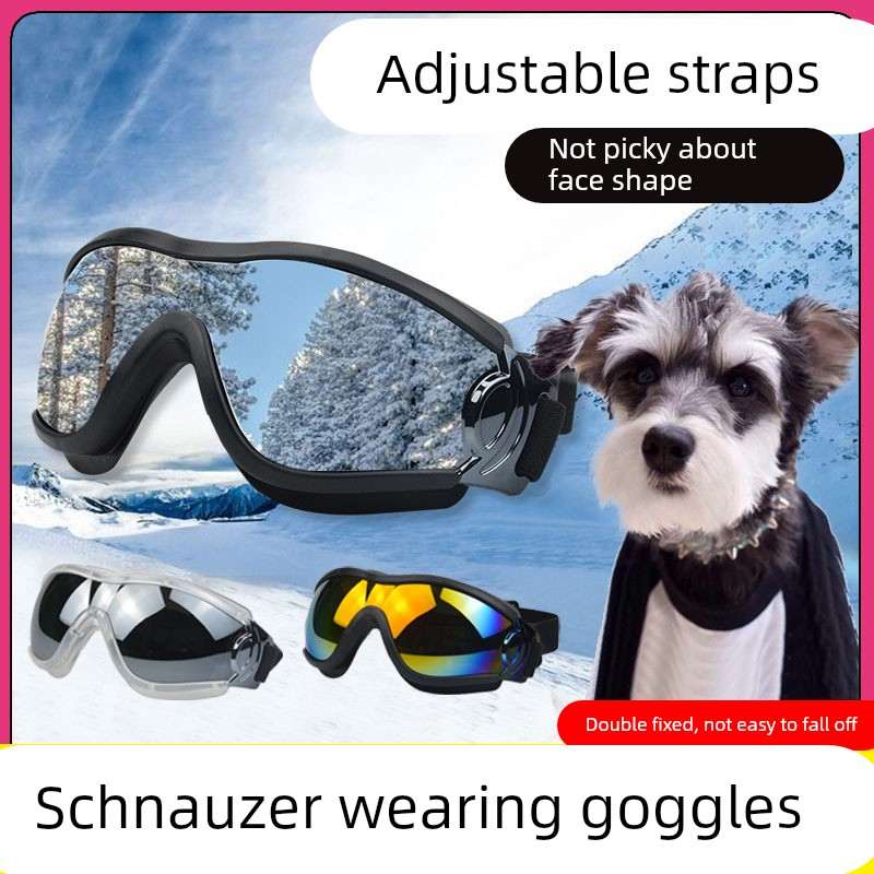 雪纳瑞专用狗狗护目镜宠物配饰小狗墨镜防风眼镜小型犬太阳镜骑行