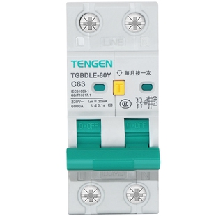 天正漏电保护器空气开关漏电可投入退出断路器TGBDLE-80Y窄体2P