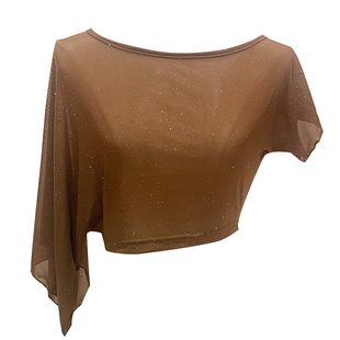 舞驿动肚皮舞上衣新款百搭性感宽松网纱初学者东方舞显瘦练功服装