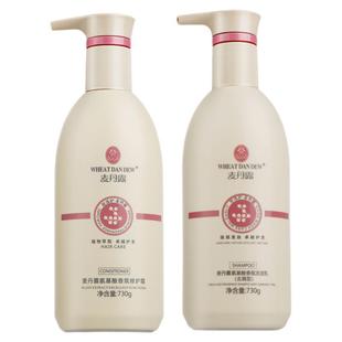 麦丹露氨基酸洗发水正品官方品牌旗舰店控油蓬松洗头膏护发素套装