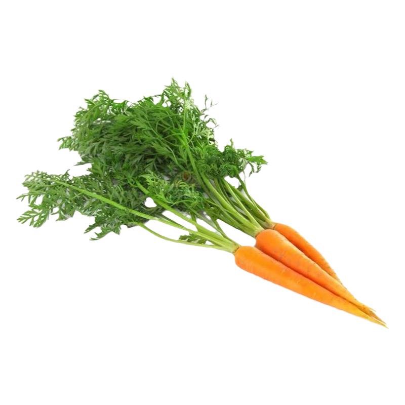 带叶子手指萝卜新鲜迷你小红人参萝卜西餐水果沙拉蔬菜500g