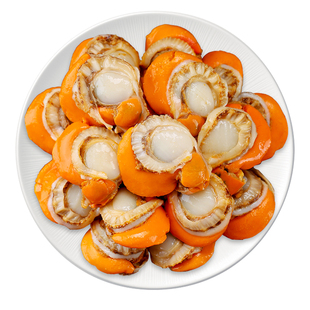新鲜扇贝肉带黄冷冻特大扇贝肉超大无冰衣烧烤蒜蓉鲜贝肉商用批发