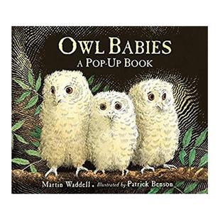 猫头鹰宝宝 立体书 英文原版绘本 Owl Babies Pop Up 精装 廖彩杏书单 启蒙认知 Martin Waddell马丁韦德尔 英文正版原著英语书籍
