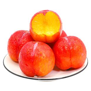 高端礼盒智利珠宝李李子新鲜水果5斤进口鲜果西梅当季整箱包邮