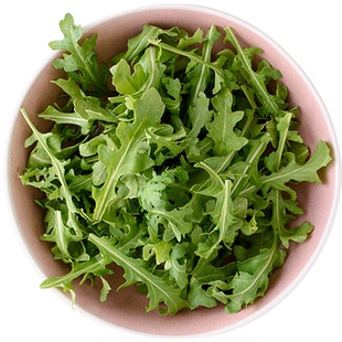 标准芝麻菜种子传家宝新鲜浓郁即食火箭沙拉叶菜蔬菜四季阳台盆栽