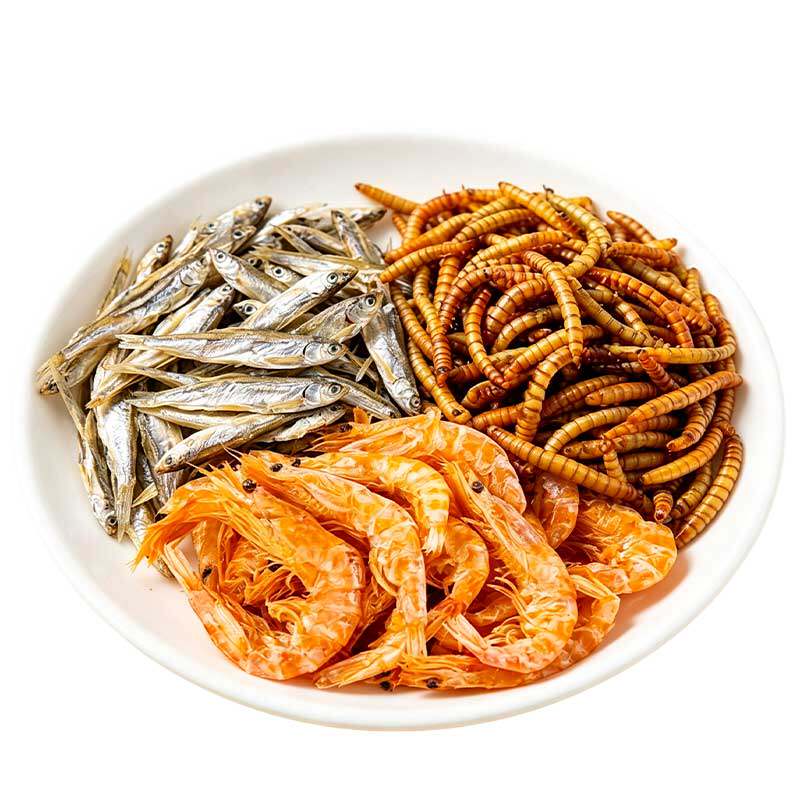 5000条仅7.8元~三拼营养龟粮饲料