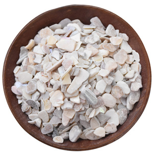 珍珠母500g正品中药材珠母中药生珍珠母 真珠母粉 批发明珠母蚌壳