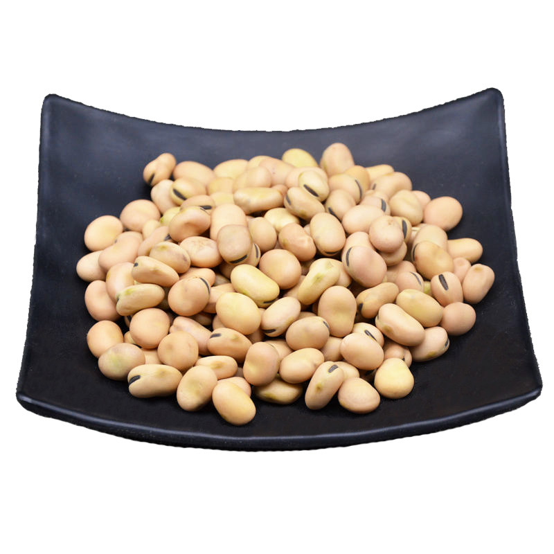 2026年甘肃小粒蚕豆新鲜蚕豆其它