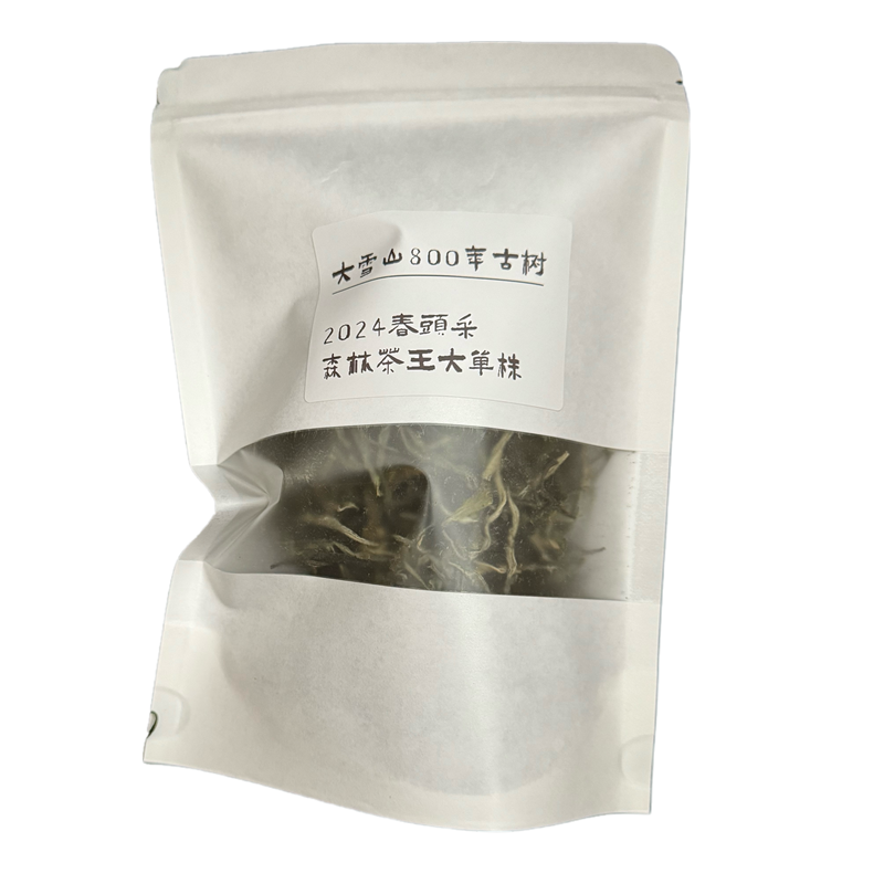生茶临沧古树茶茶王大单株