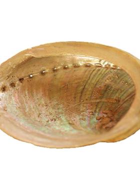 天然贝壳香炉创意摆件