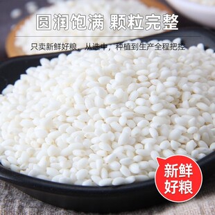 东北5斤新糯米圆粒白江米包粽子糍粑汤圆酿酒杂粮