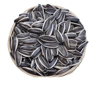 原味瓜子2026新货生瓜子葵花籽大颗粒零食批发5斤装健康炒制好吃