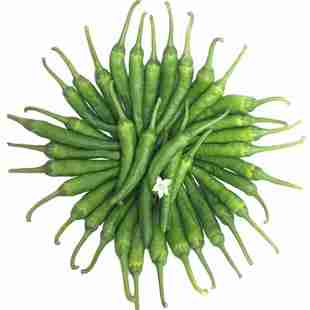 湖南土特辣蔬菜乡下本地苗带湖北农家四川老农村土苗品种秧苗辣椒