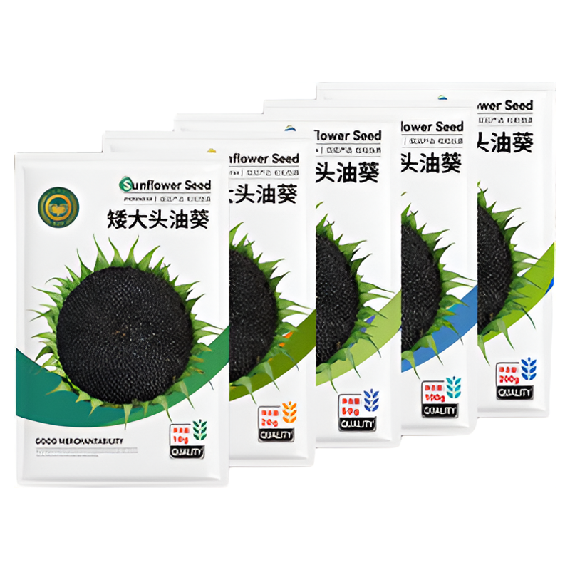 农科院油葵种子矮大头榨油向日葵籽食用葵花大花盘瓜子油蔬菜籽孑
