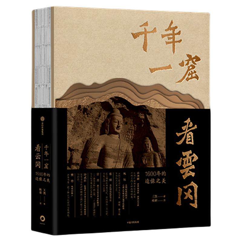 千年一窟看云冈王凯中信出版