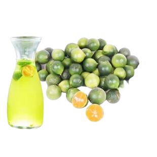 海南小柠檬树苗嫁接小青桔四季金桔苗当年结果室内盆栽果树带果