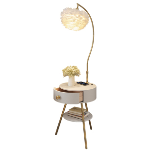 羽毛落地灯客厅卧室沙发旁边高级氛围轻奢摆件公主床头柜台灯一体