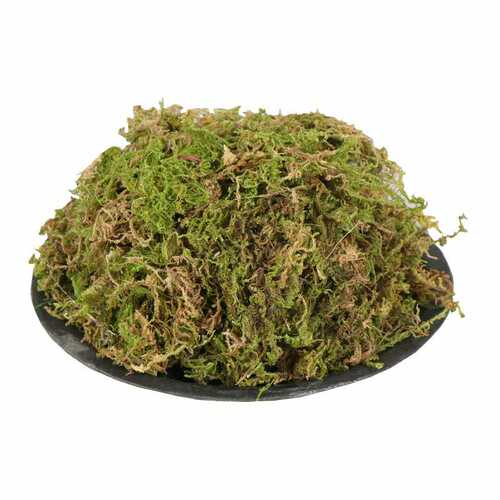 干苔藓园艺多肉兰花铺面石斛种植嫁接水草青苔乌龟运输材料