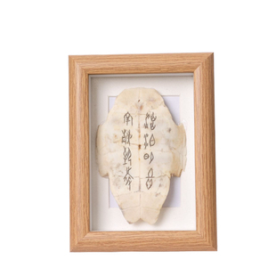 真龟片刀刻甲骨文定制版摆件殷墟博物馆文创相框装裱展示框