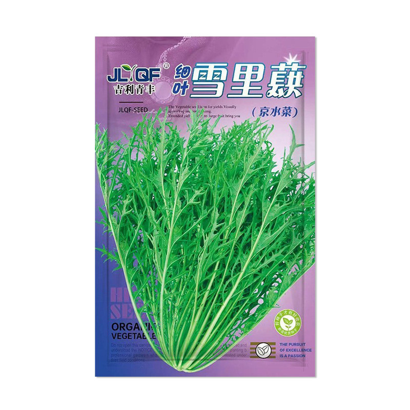 吉利青丰细叶雪里蕻种子