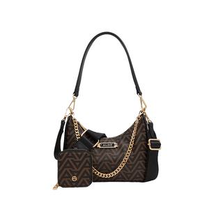 ALDO单肩女包腋下包链条斜挎包百搭通勤精致时尚AHCS24A11