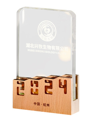 夜灯奖杯定制奖杯发光