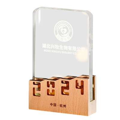 夜灯奖杯定制奖杯发光