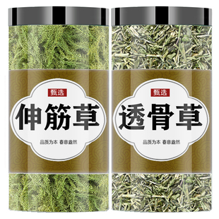 伸筋草透骨草组合中药材野生正品舒筋草500克泡脚泡酒可搭透骨草