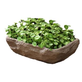 铜钱草碗莲睡莲水仙花盆陶瓷创意仿石头无孔水培水养专用盆特大号