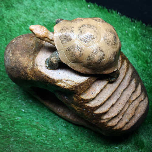 乌龟阶梯斜坡晒台爬台 石头桥洞躲避攀爬架 鱼虾蟹守宫两栖嬉戏岛