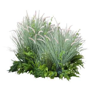 大型仿真造景植物芦苇花丛摆设庭院草丛软装店面置景仿生花艺绿植