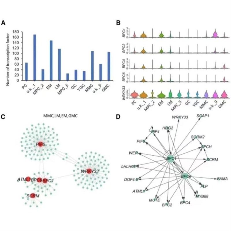 医学科研公开课meta分析sci写作R语言视频课程教学教程培训综述