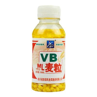 西部风小麦粒麝香野钓黑坑草鱼