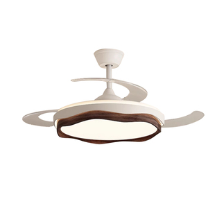 隐形风扇灯2026新款吊扇灯客厅餐厅吊灯卧室带电扇超薄中山灯具