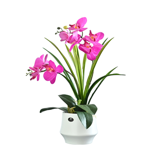 仿真假花蝴蝶兰花艺整体摆放花卉套装摆件客厅室内餐桌电视柜摆设