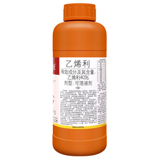 国光40%乙烯利 水稻香蕉芒果番茄柿子生长调节剂核桃剥皮催熟剂