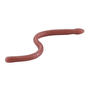 DUO日本高比重无铅Wacky面条虫软饵倒钓钓组仿真路亚软饵鲈鱼